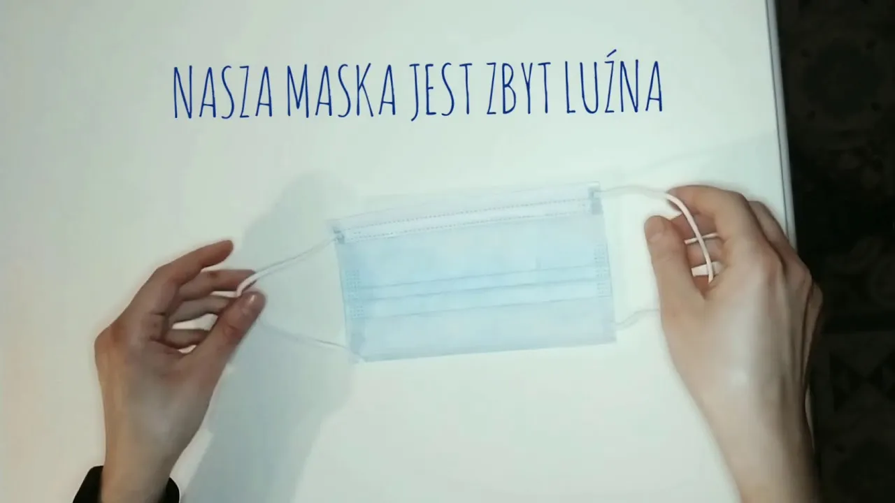 Zdjęcie Jak zrobić majtki dla psa z maseczki – proste i wygodne rozwiązanie
