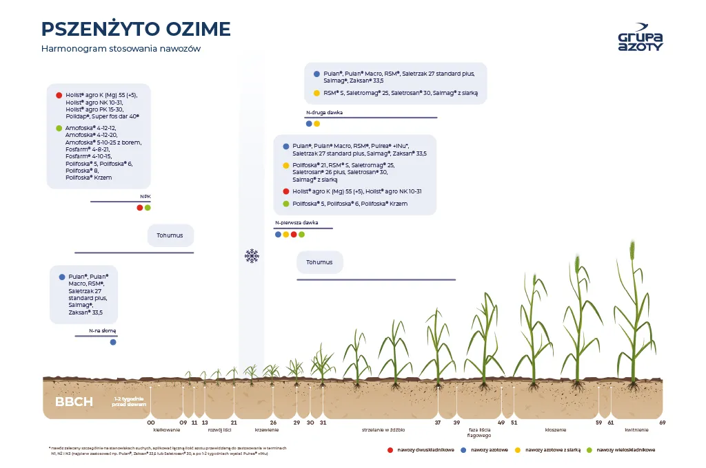 Zdjęcie Jaki nawóz na pszenżyto ozime? Kluczowe informacje o nawożeniu.