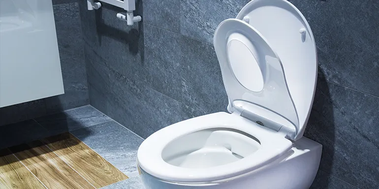 Zdjęcie Dlaczego deska sedesowa dla niepełnosprawnych ma przerwę i jak to pomaga?