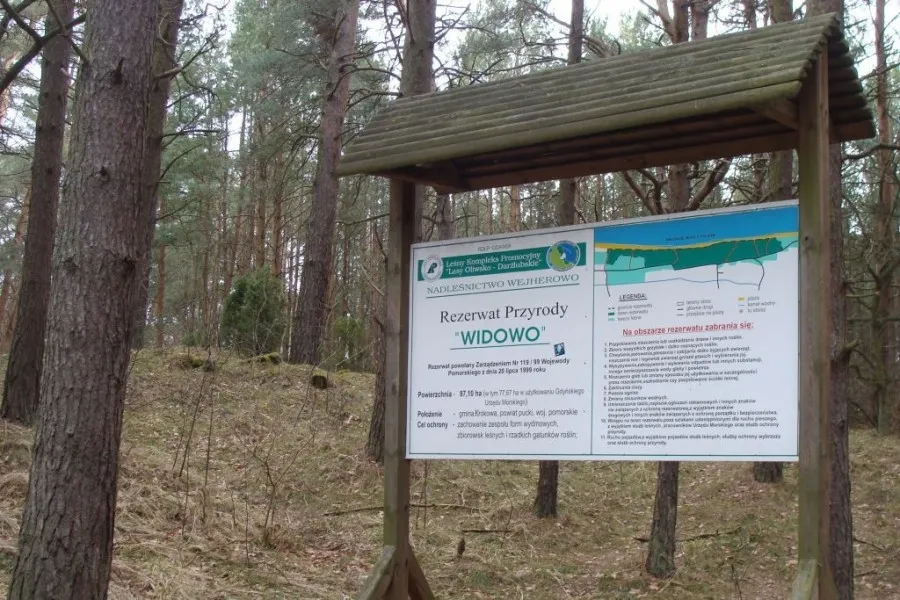 Zdjęcie Rezerwat przyrody Widowo – odkryj niezwykłe piękno natury i rzadkie gatunki
