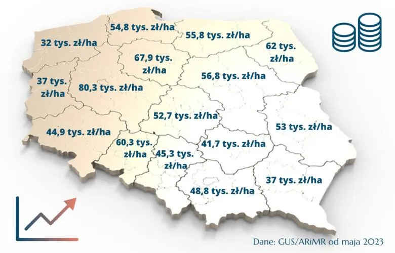 Zdjęcie Aktualne ceny hektara ziemi na dolnym śląsku: analiza całego regionu