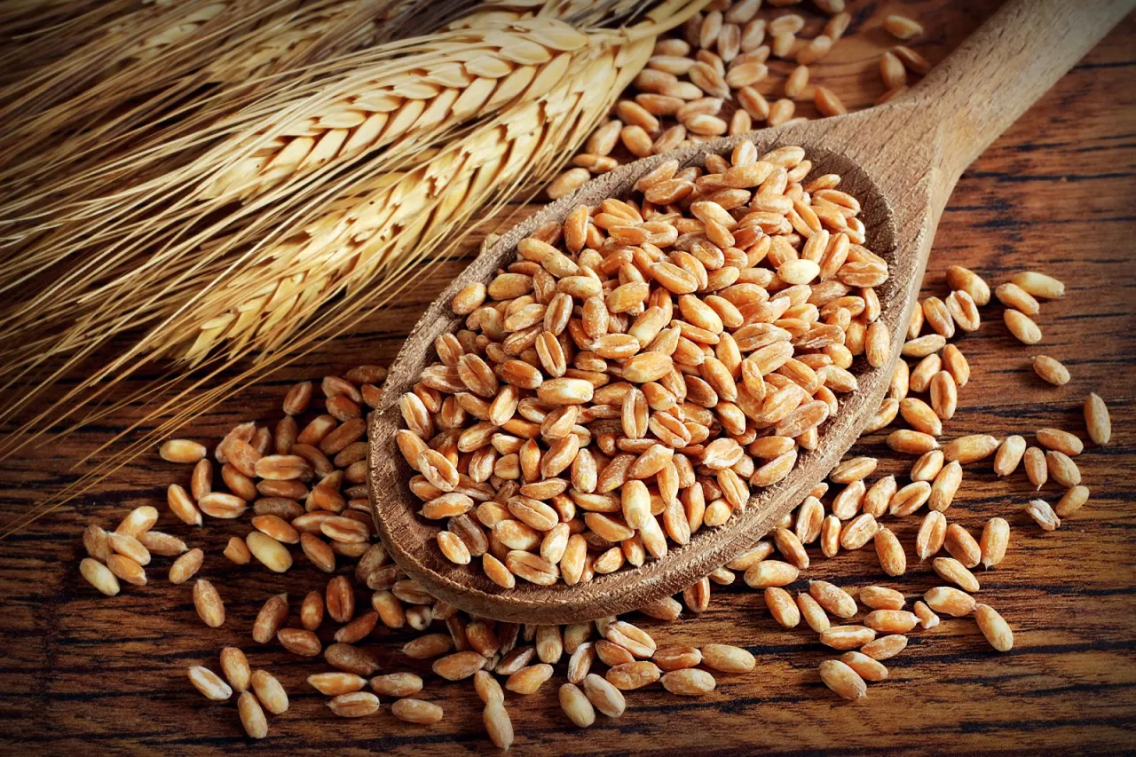 Zdjęcie Czy orkisz ma gluten? Dowiedz się, dlaczego nie jest bezpieczny dla Ciebie