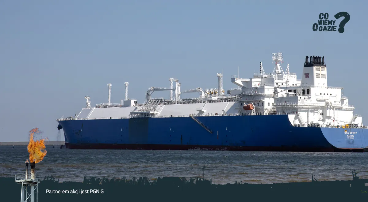 Zdjęcie Gaz ziemny czy LPG? Porównanie kosztów i korzyści z PGNiG