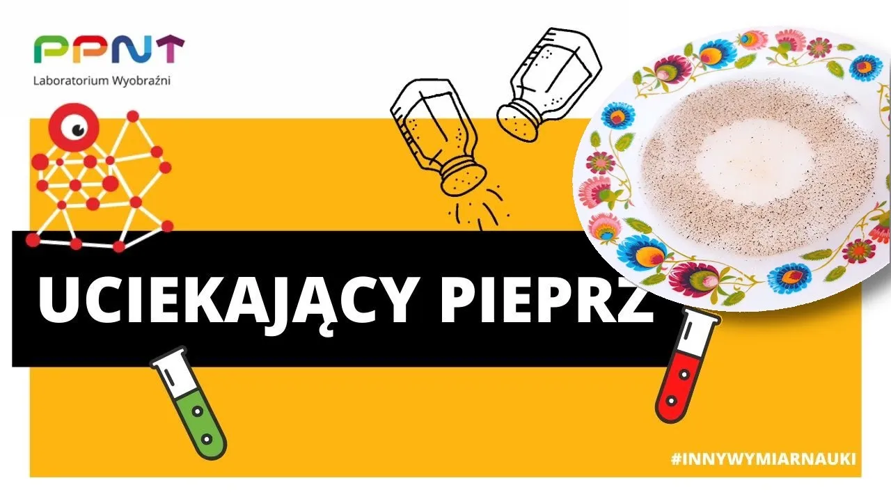 Zdjęcie Eksperyment z wodą i pieprzem: Jak zaskoczyć przyjaciół prostym doświadczeniem