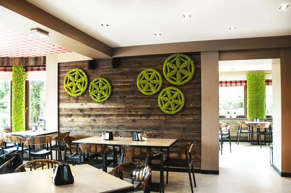 Zdjęcie Jak dbać o mech dekoracyjny, aby nie stracił swojego uroku