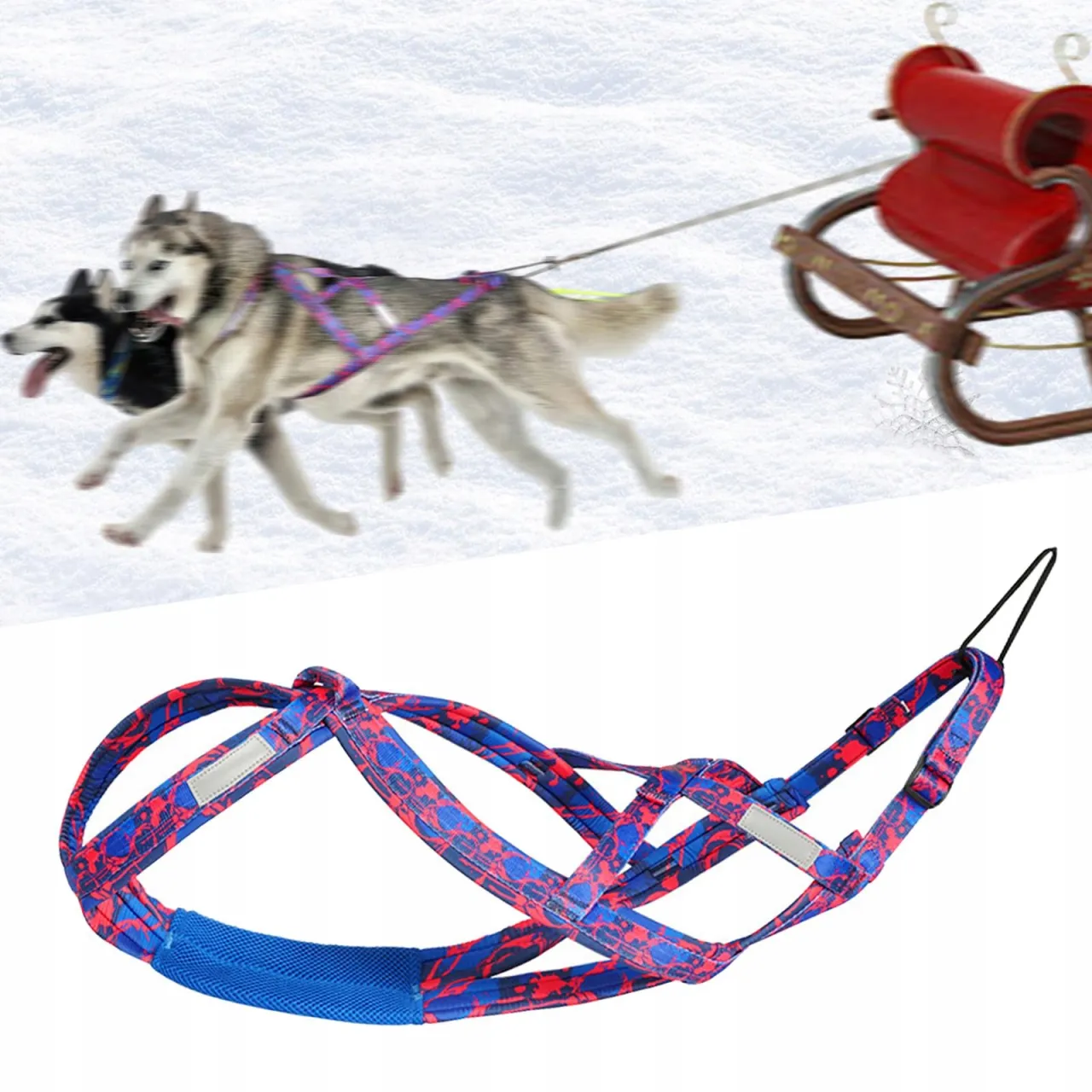 Zdjęcie Jakie szelki dla husky zapewnią bezpieczeństwo i komfort?