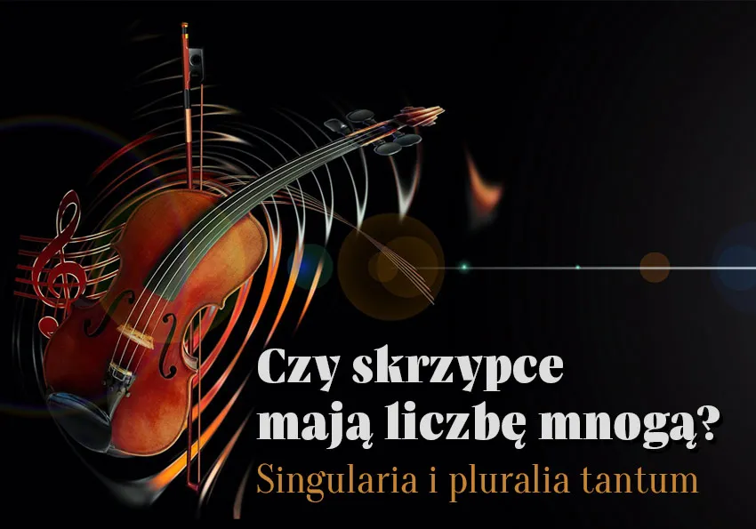 Zdjęcie Spodnie jaka to liczba? Odkryj, dlaczego to liczba mnoga