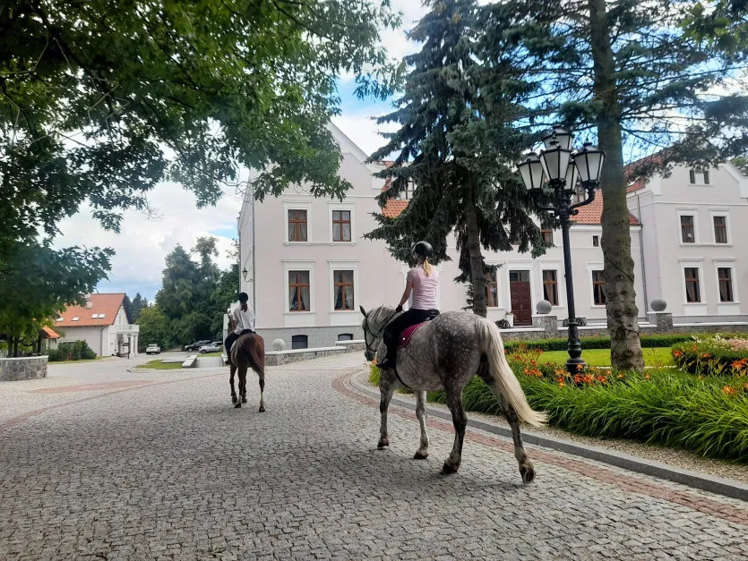 Zdjęcie Najlepsze stadniny koni w Żywcu - gdzie znaleźć idealne miejsce?