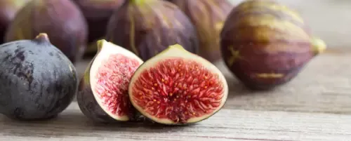 Zdjęcie Czy pies może jeść figi? Poznaj ryzyko i korzyści dla zdrowia psa