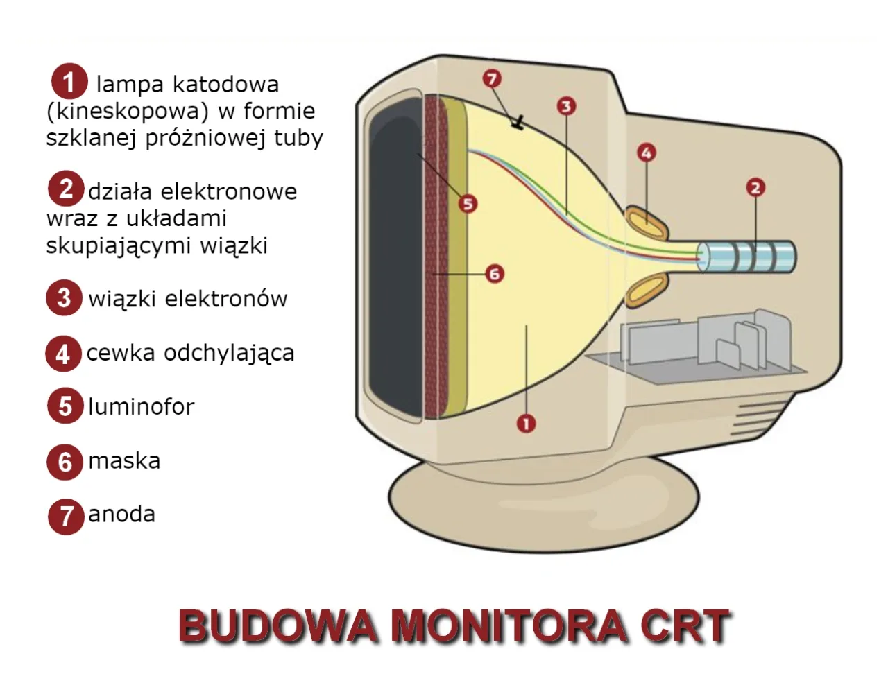 Zdjęcie Co to jest monitor? Rodzaje i parametry ekranów komputerowych