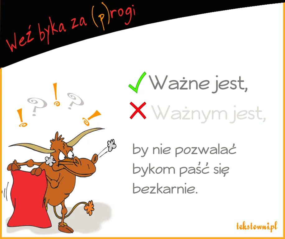 Zdjęcie Jak się pisze dzień dobry - zasady pisowni i najczęstsze błędy
