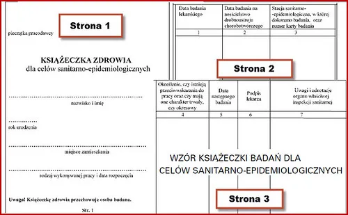 Zdjęcie Jakie badanie do książeczki sanepidowskiej jest niezbędne do pracy w gastronomii?