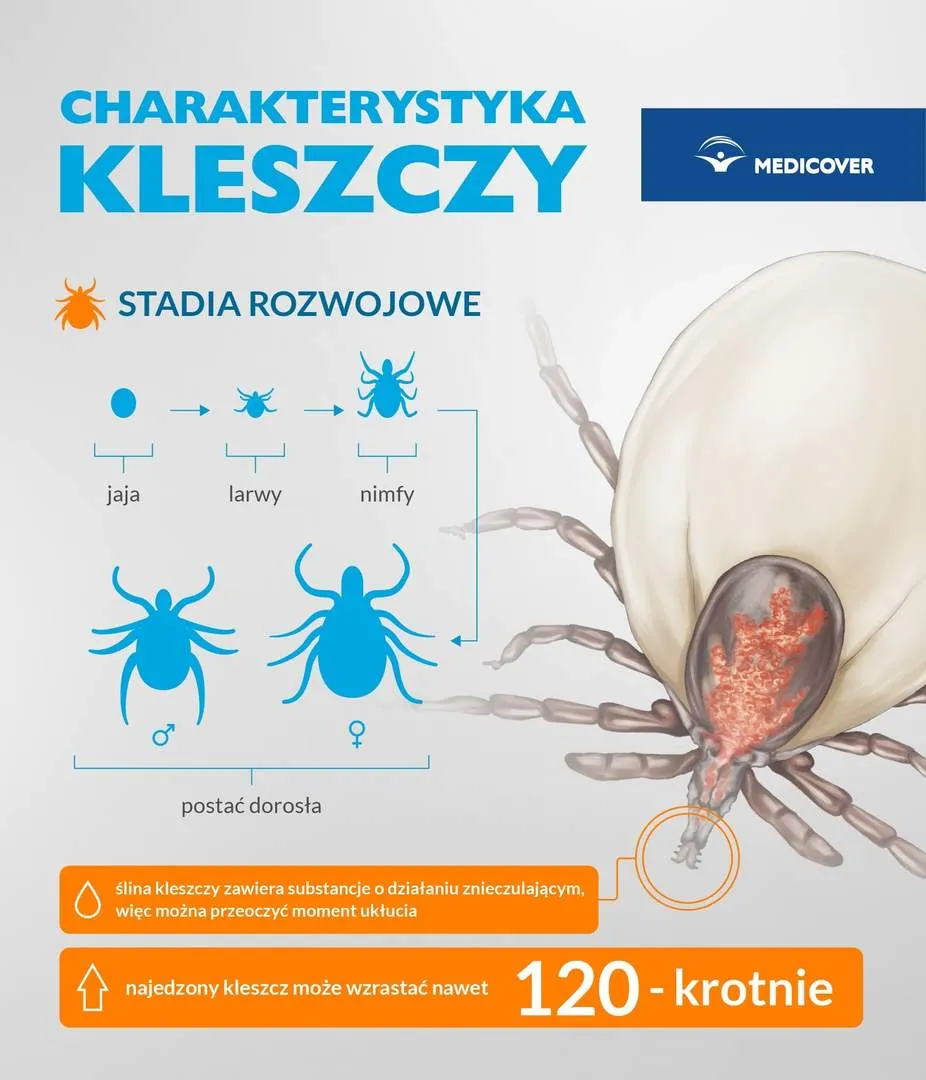 Zdjęcie Czy kleszcze lubią tuje? Odkryj, jak je odstraszyć w ogrodzie