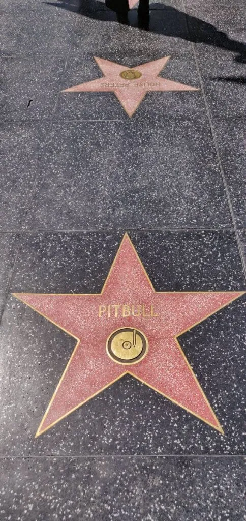 Zdjęcie Kto ma gwiazdę w Hollywood? Zaskakujące nazwiska i historie gwiazd