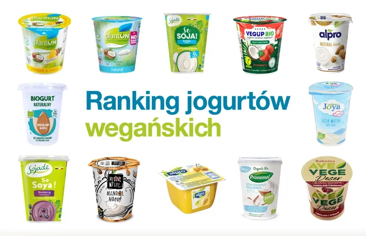 Zdjęcie Gdzie kupić jogurt wegański? Sprawdzone miejsca i najlepsze marki
