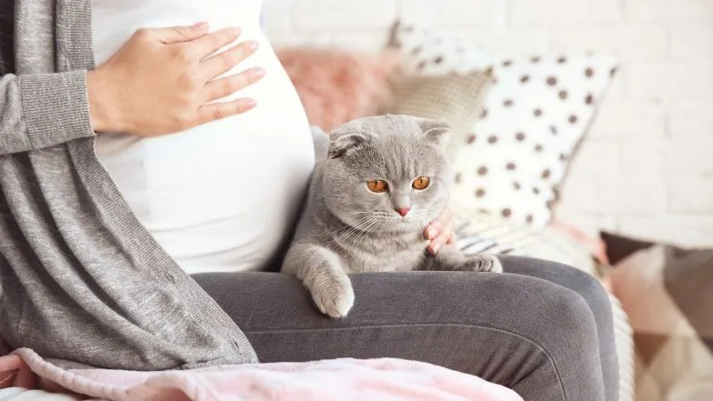 Zdjęcie Toksoplazmoza oczna objawy - poznaj niebezpieczne symptomy tej choroby