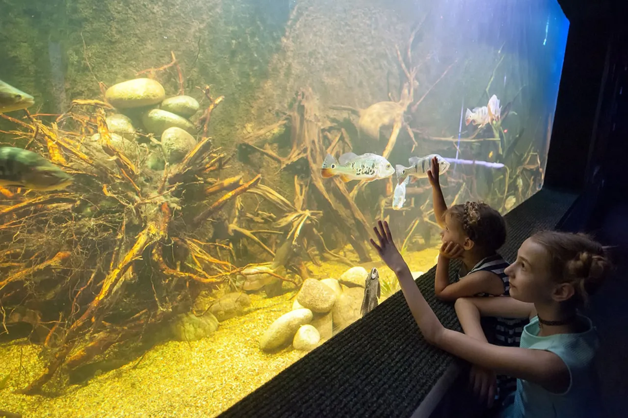 Zdjęcie Oceanarium Świętokrzyskie - co warto zobaczyć i jak się przygotować