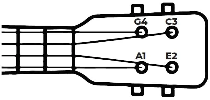 Zdjęcie Jak zagrać na ukulele: proste techniki i akordy dla początkujących
