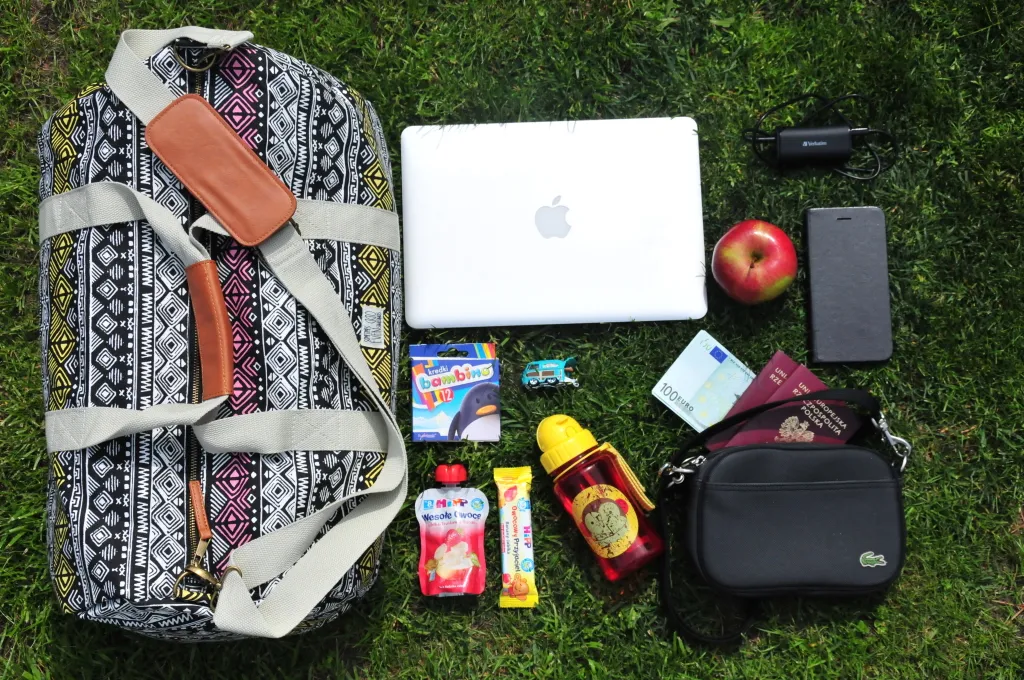 Zdjęcie Bagaż podręczny Ryanair: co można zabrać, aby uniknąć opłat