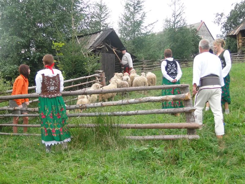 Zdjęcie Bacówka u Harnasia: Niezapomniane doświadczenia w sercu Beskidów