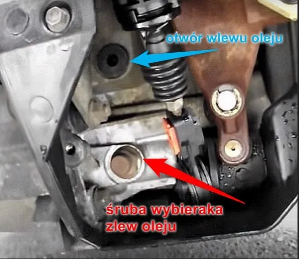 Zdjęcie Wymiana oleju Ford Fiesta: Interwały, typy, koszty. Zadbaj o silnik!