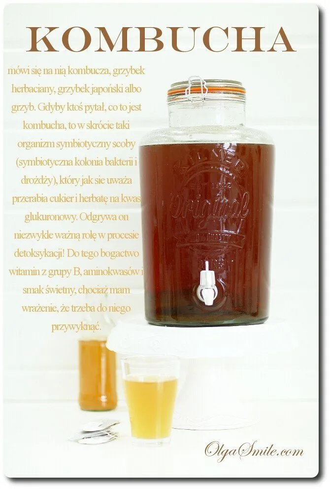 Zdjęcie Jak zrobić grzybek kombucha - proste kroki do idealnej fermentacji
