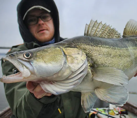 Zdjęcie Kalendarz połowów ryb - najlepsze terminy na skuteczne wędkowanie