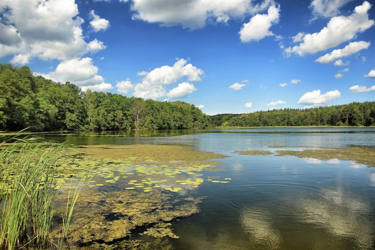 Zdjęcie Jezioro Białokoskie – wędkarskie skarby i piękno natury w Sierakowie