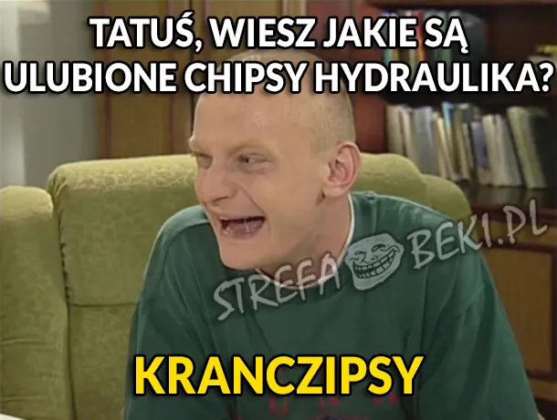 Zdjęcie Jakie są ulubione chipsy hydraulika? Zaskakujące odpowiedzi i żarty