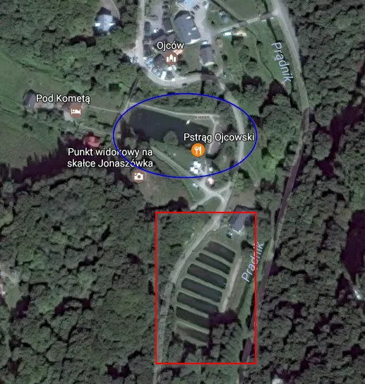 Zdjęcie Gdzie zjeść w Ojcowie? Najlepsze miejsca na smaczny posiłek