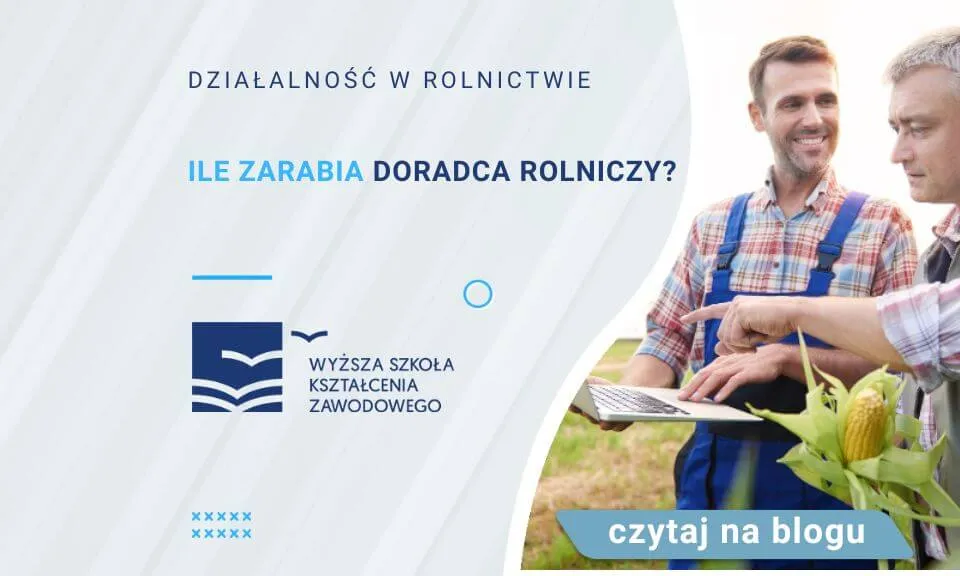 Zdjęcie Ile zarabia doradca zawodowy? Zaskakujące fakty o wynagrodzeniach