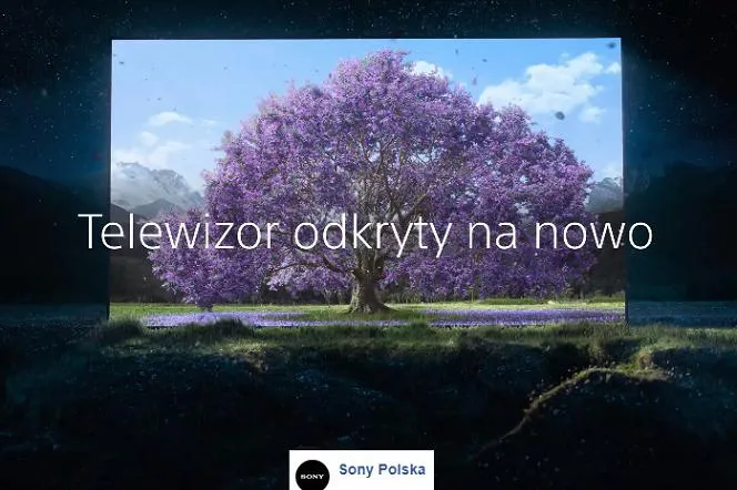 Zdjęcie Kto śpiewa ten utwór? Poznaj wykonawcę i ciekawostki o piosence