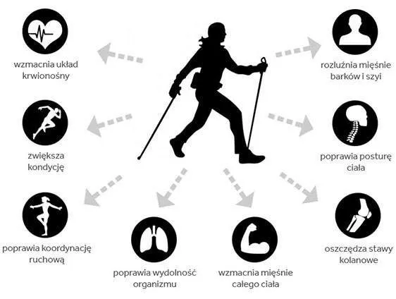 Zdjęcie Czy nordic walking odchudza? Sprawdź, ile kalorii możesz spalić