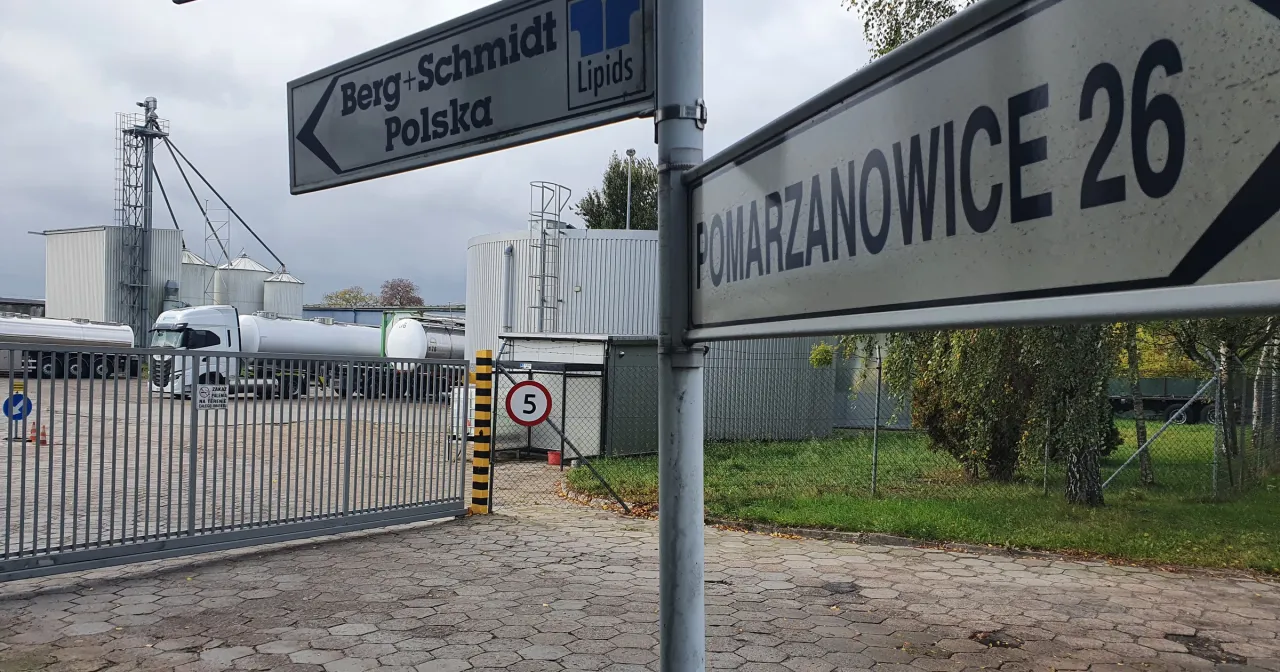 Zdjęcie Afera drobiowa – kim jest firma BERG+SCHMIDT i jakie są jej działania?