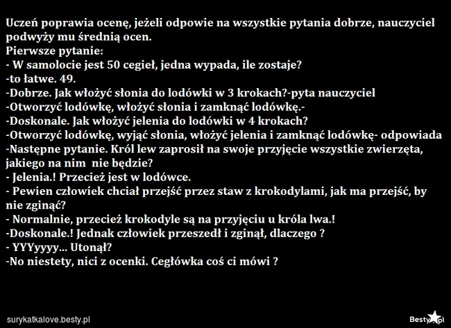 Zdjęcie Poznaj rozwiązanie zagadki jak włożyć słonia do lodówki i rozbaw znajomych