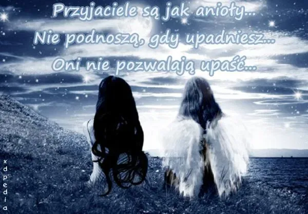 Zdjęcie Cytaty z tam gdzie spadają anioły, które zmienią Twoje myślenie