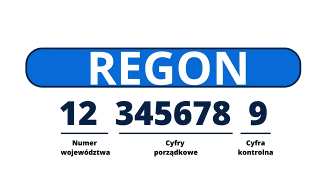 Zdjęcie Jak znaleźć pkd po regonie i uniknąć błędów w rejestracji firmy