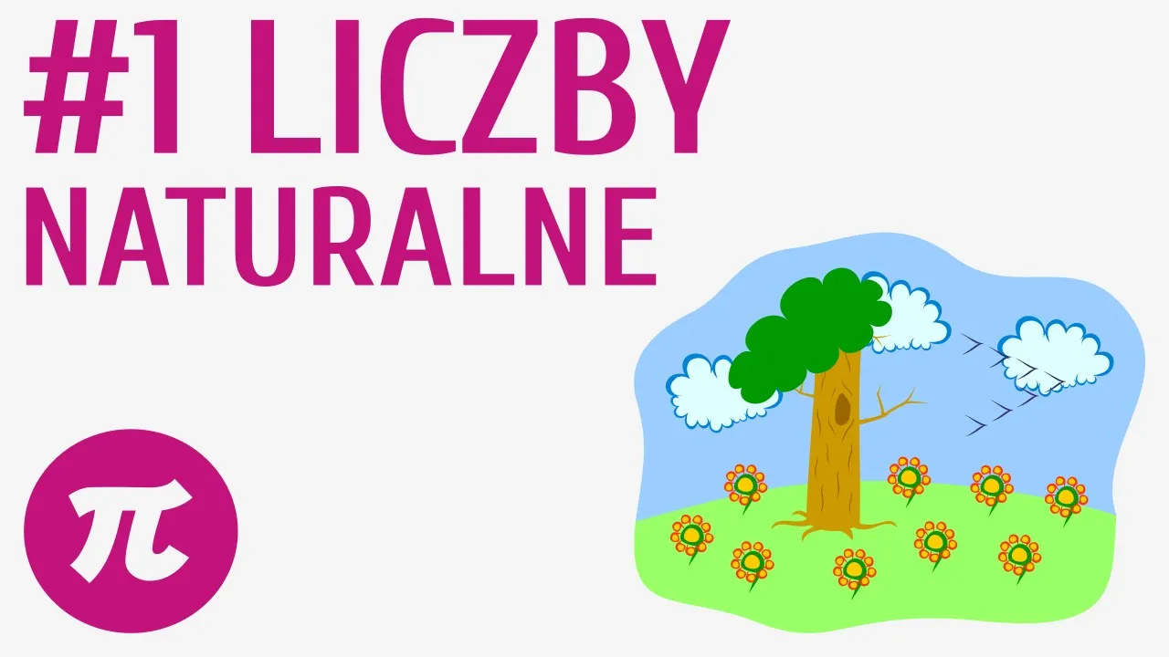 Zdjęcie Co to są liczby naturalne w matematyce? Definicja i przykłady