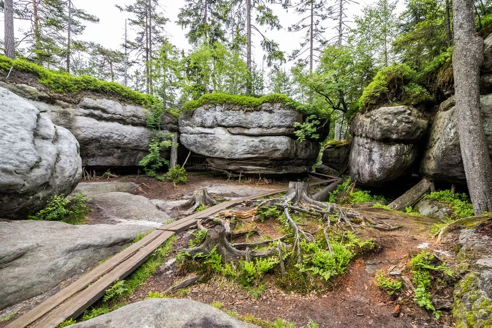 Zdjęcie Forum Sudety - wszystko o turystyce górskiej w jednym miejscu dla każdego