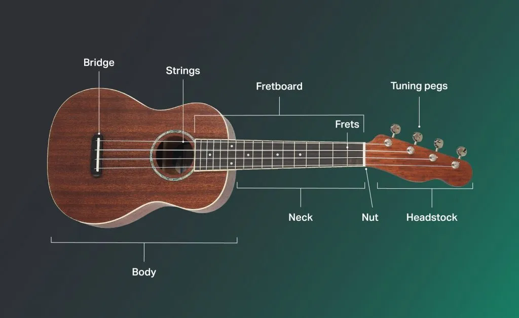 Zdjęcie Ile trwa nauka gry na ukulele: od podstaw do pierwszych utworów