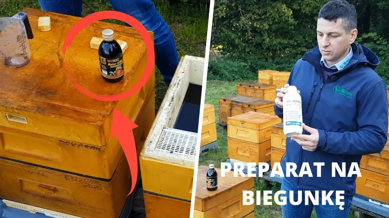 Zdjęcie Jak zapobiec biegunce – skuteczne sposoby na uniknięcie problemów zdrowotnych