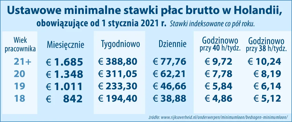 Zdjęcie Ile można zarobić w Holandii? Zarobki i koszty życia - analiza