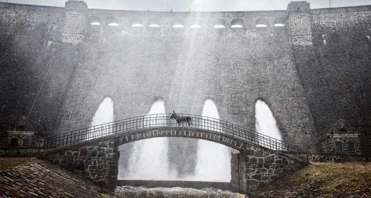 Zdjęcie Film IO Skolimowskiego powraca do kin: sprawdź nowe pokazy specjalne