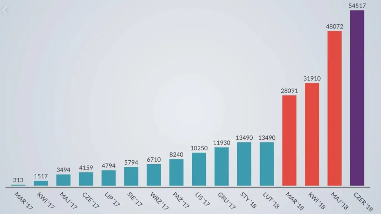 Zdjęcie Ile się czeka na prawo wykonywania zawodu fizjoterapeuty? Sprawdź!