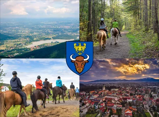 Zdjęcie Najlepsze stadniny koni w Żywcu – usługi, opinie i lokalizacje