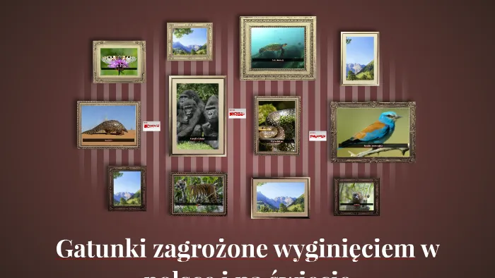 Zdjęcie Jak skutecznie chronić gatunki zagrożone wyginięciem – praktyczne metody i działania
