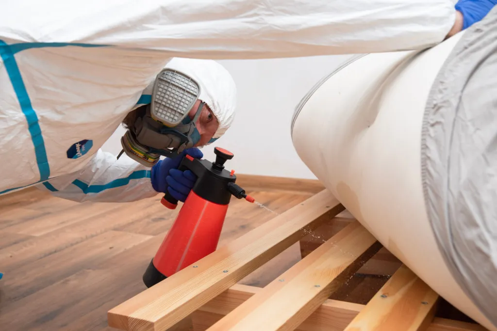 Zdjęcie Jak przygotować mieszkanie do odpluskwiania - uniknij błędów i zyskaj spokój