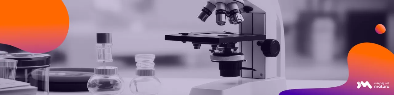 Zdjęcie Co jest najczęściej na maturze z biologii rozszerzonej? Kluczowe tematy i pytania