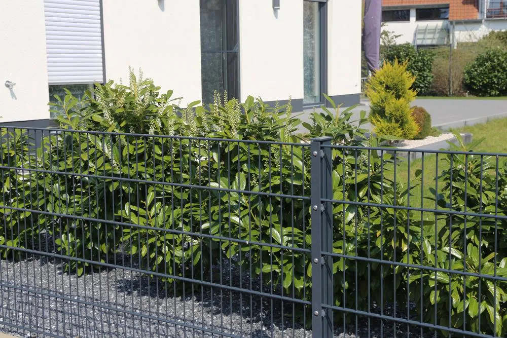 Zdjęcie Czym ogrodzić ogród? Poznaj najlepsze opcje ogrodzeń i ich wady