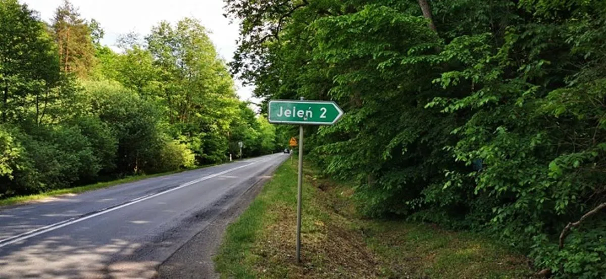 Zdjęcie Najlepsze trasy rowerowe w Spałej – odkryj malownicze szlaki